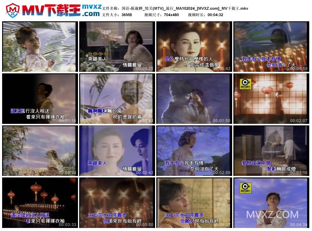 国语-陈淑桦_情关(MTV)_流行_MA102024